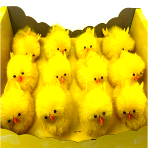 5CM EASTER CHICKS (12PCS), 25*17*7CM