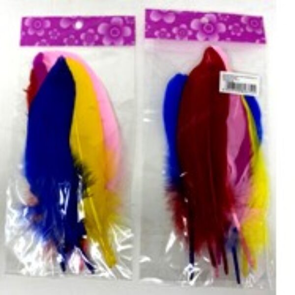 FEATHERS (10PCS),25*12CM