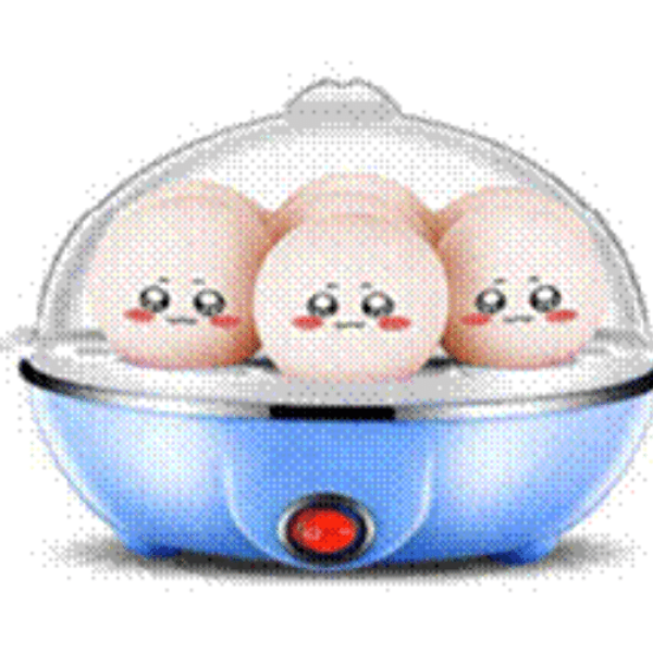 EGG STEAMER