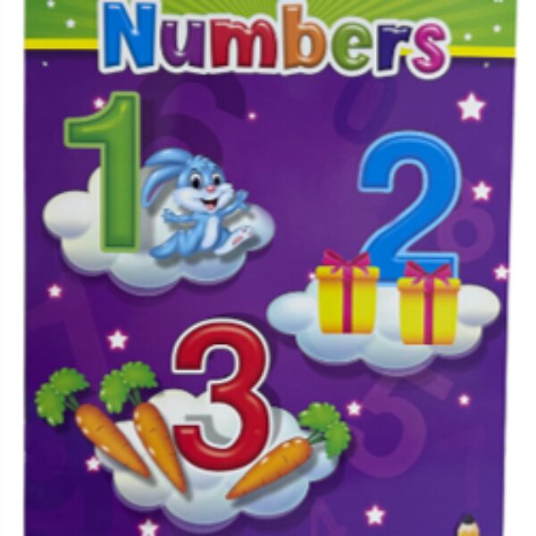 NUMBERS LEARNING BOOK 16 PAGES