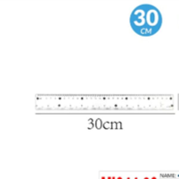 30CM PLASTIC RULER