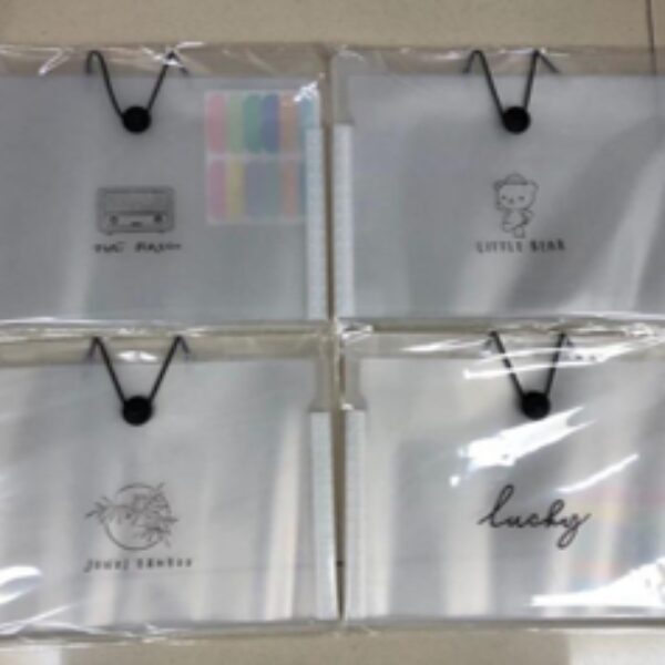 FILE BAG A4 8 POCKETS