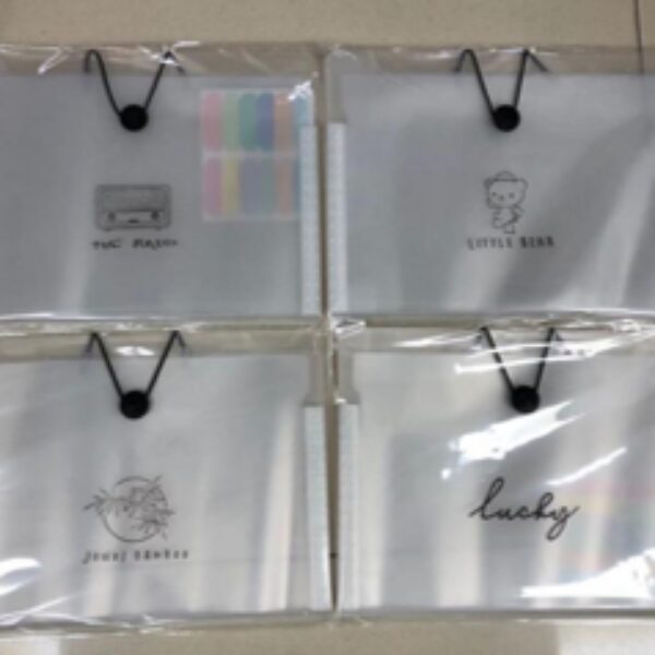 FILE BAG A4 12 POCKETS