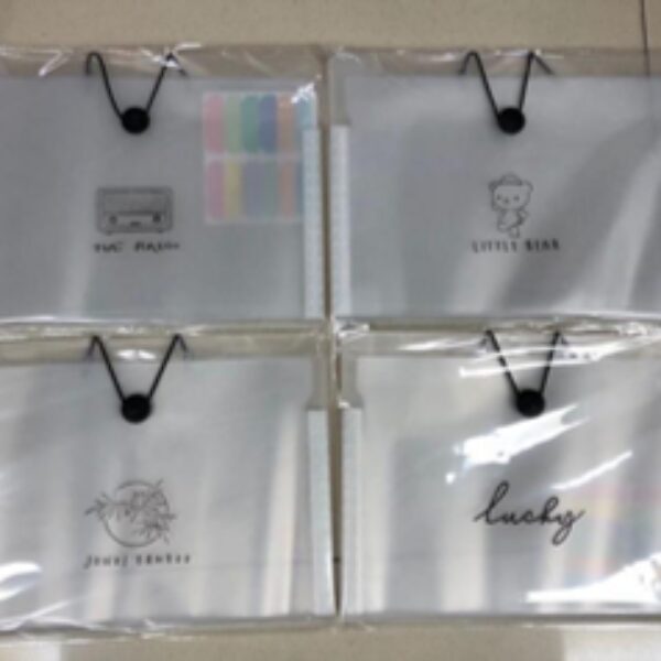 FILE BAG A4 8 POCKETS