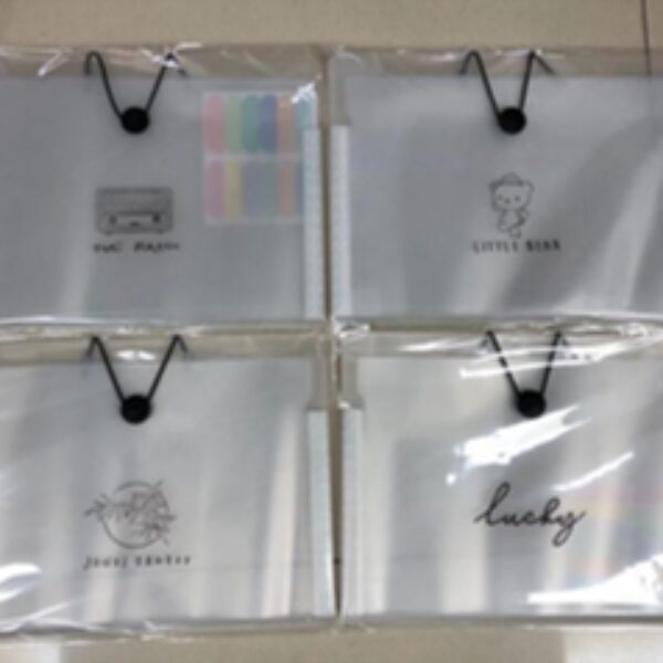 FILE BAG A4 12 POCKETS